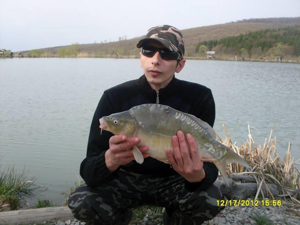 icn carp - 145662414013791801024882030657892n.jpg